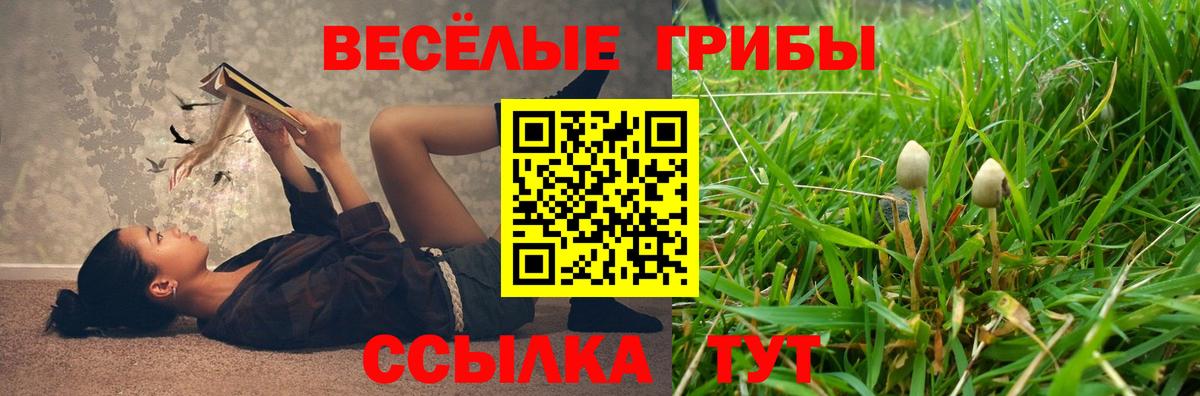 Галлюциногенные грибы Cubensis  Галлюциногенные грибы ЛСД  Вход с VPN  Мыски 